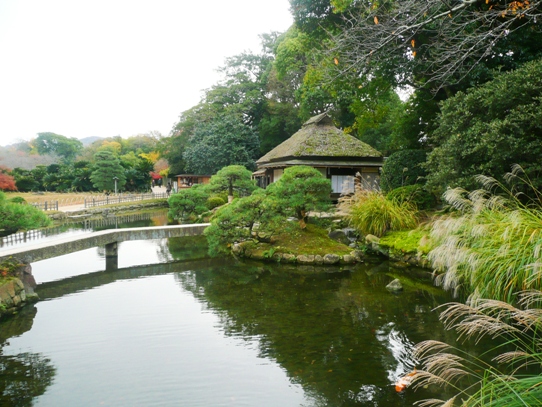廉池軒1050395.jpg