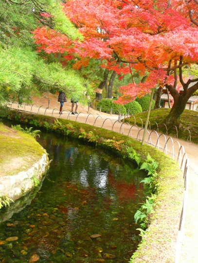 後楽園の紅葉1050319.jpg