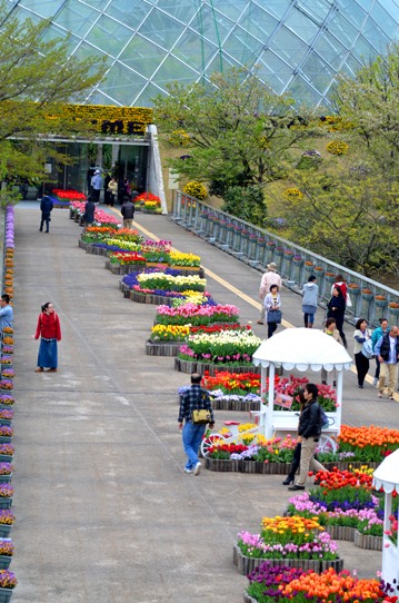 春爛漫の花回廊4152.jpg