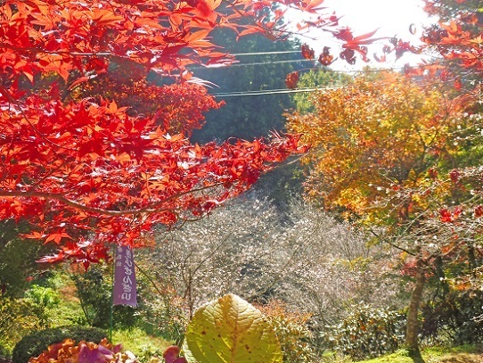 普門寺1360010.jpg