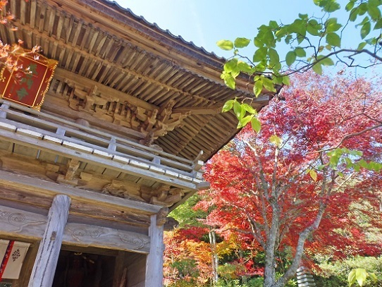 普門寺1360012.jpg