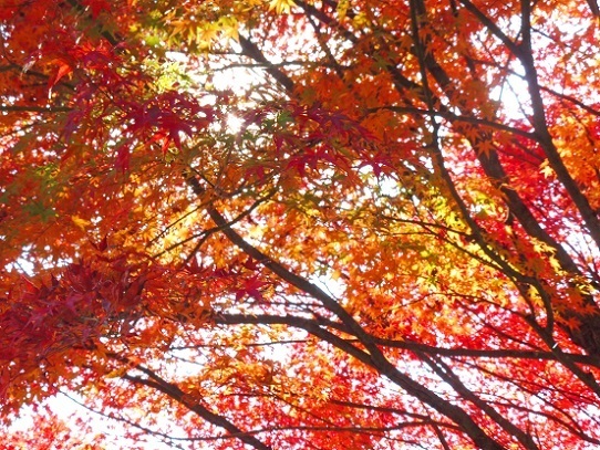 普門寺1360033.jpg