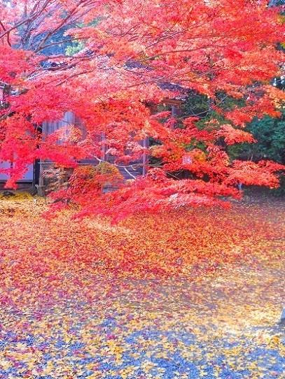 木山寺1360058.jpg