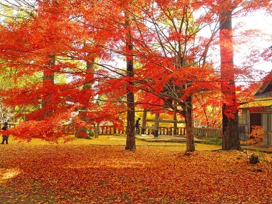 木山寺1360067.jpg