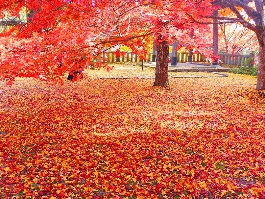 木山寺1360068.jpg