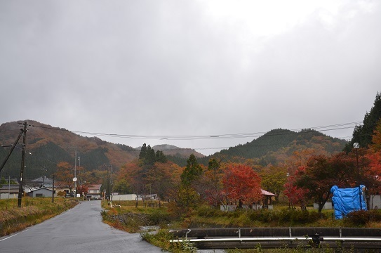 森林公園6571.jpg
