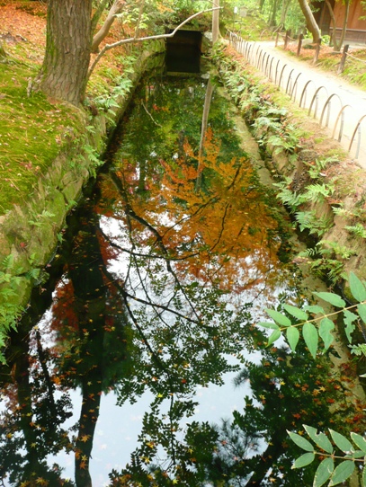 水辺の紅葉1050547.jpg