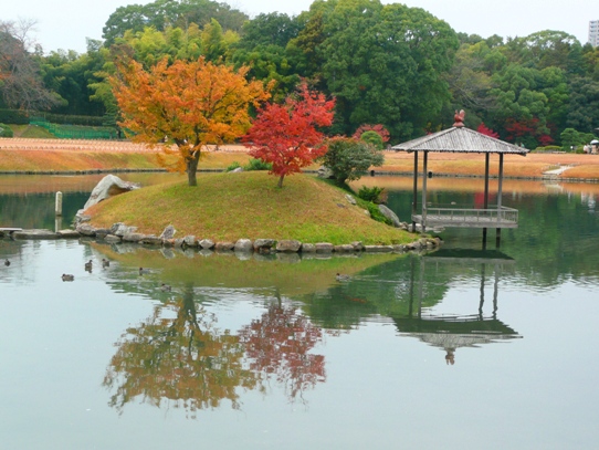 沢の池に映る1050481.jpg