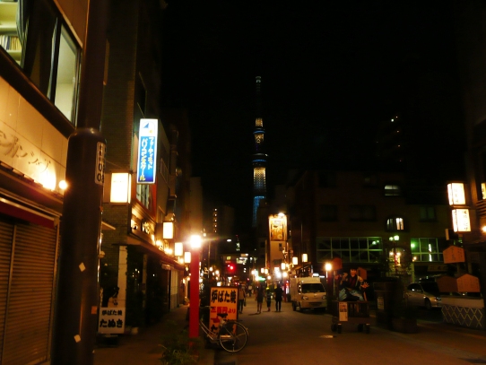 浅草の夜1060351.jpg