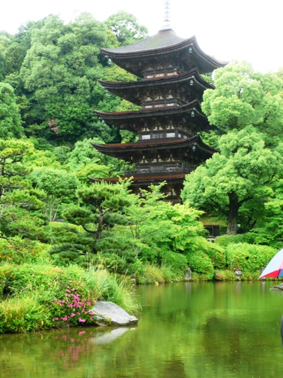 瑠璃光寺五重塔1060239.jpg