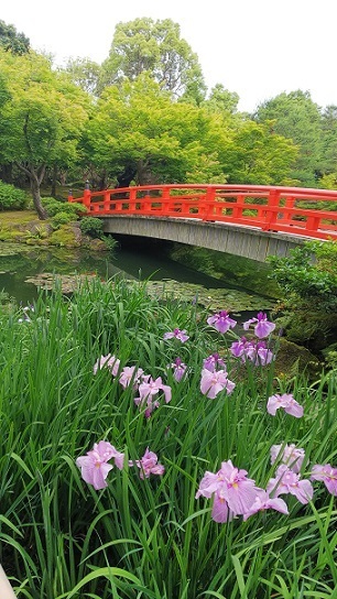由志園0398.jpg