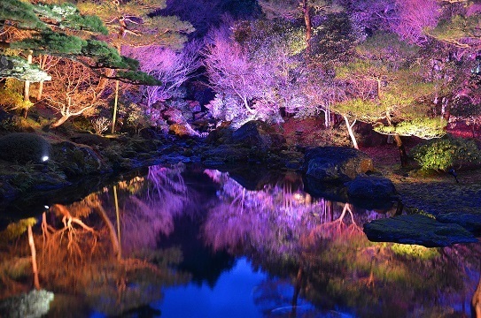 由志園6705.jpg