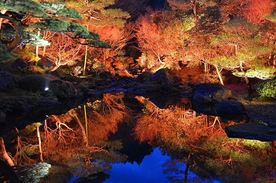 由志園6714.jpg