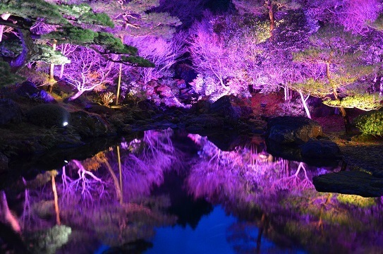 由志園6723.jpg