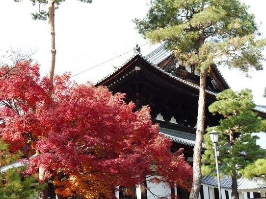 相国寺紅葉1180003.jpg