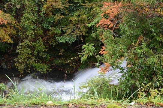 紅葉風景6601.jpg
