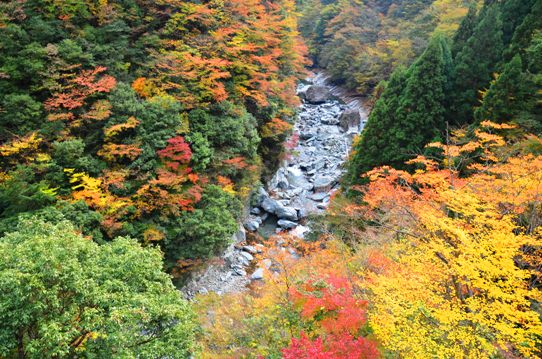 美しき日本の自然7950.jpg