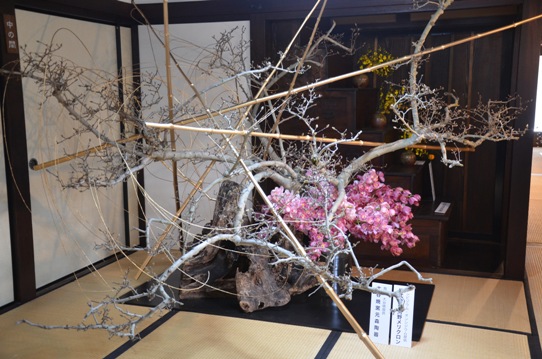 脇町9076.jpg