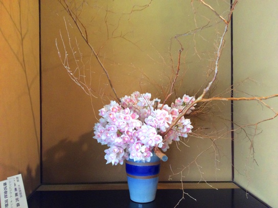 脇町にて1750.jpg