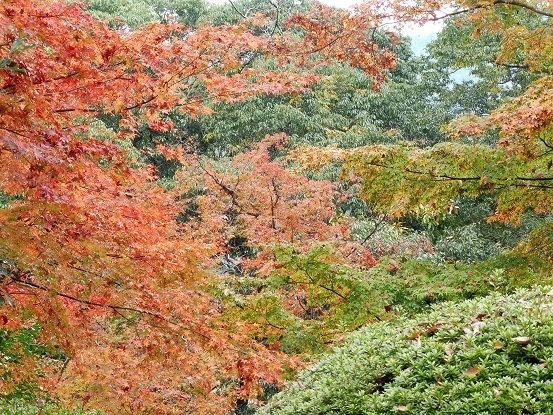 臥龍山荘1020024.jpg