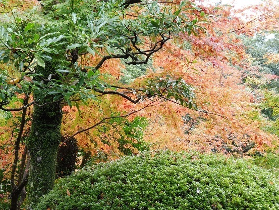 臥龍山荘1020025.jpg