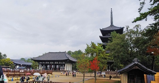 興福寺東金堂と五重塔0755.jpg