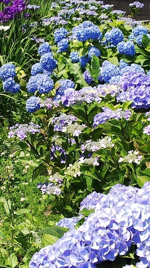舟のある公園0420.jpg