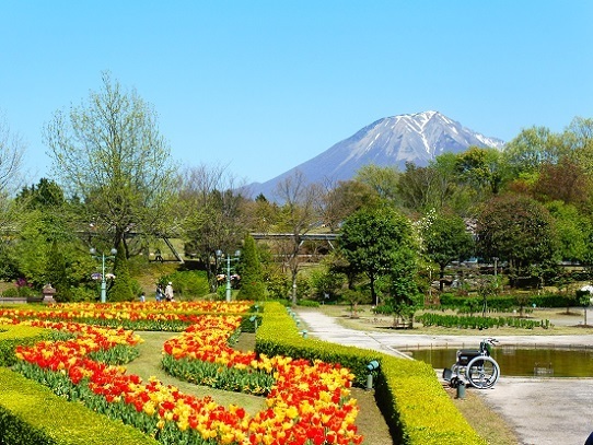 花と大山1390279.jpg