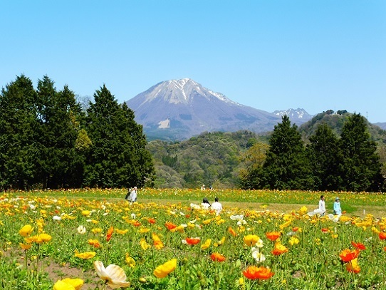 花と大山1390291.jpg
