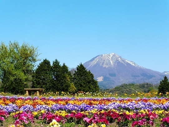 花と大山1390293.jpg
