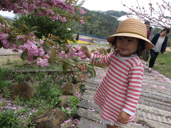 花と戯れて0366.jpg