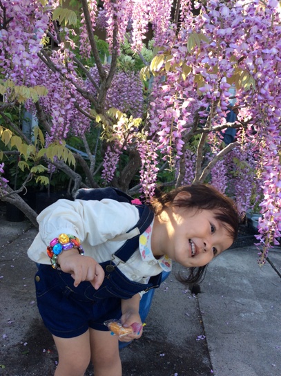 花と戯れて0514.jpg