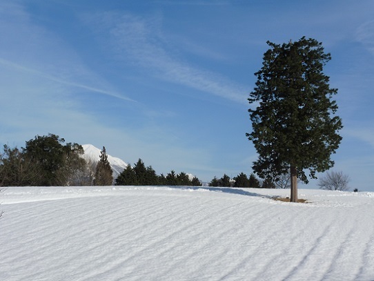 花回廊雪景色1200009.jpg