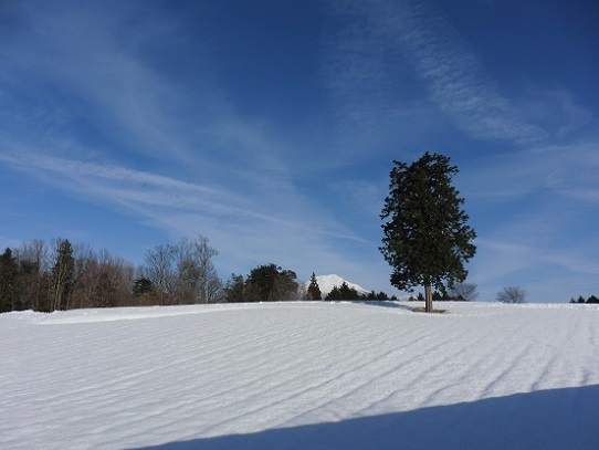 花回廊雪景色1200010.jpg