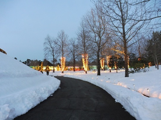 花回廊雪景色1200055.jpg