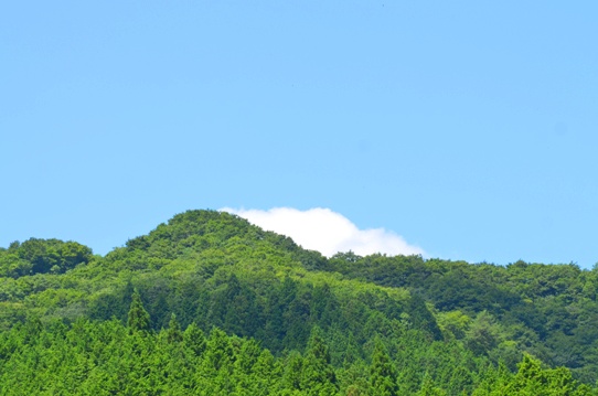 蒜山の空と緑3187.jpg