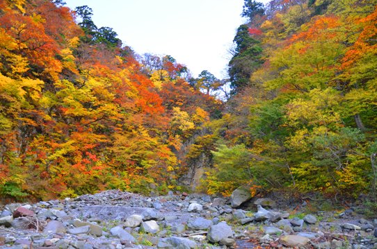 賽の河原と紅葉227.jpg