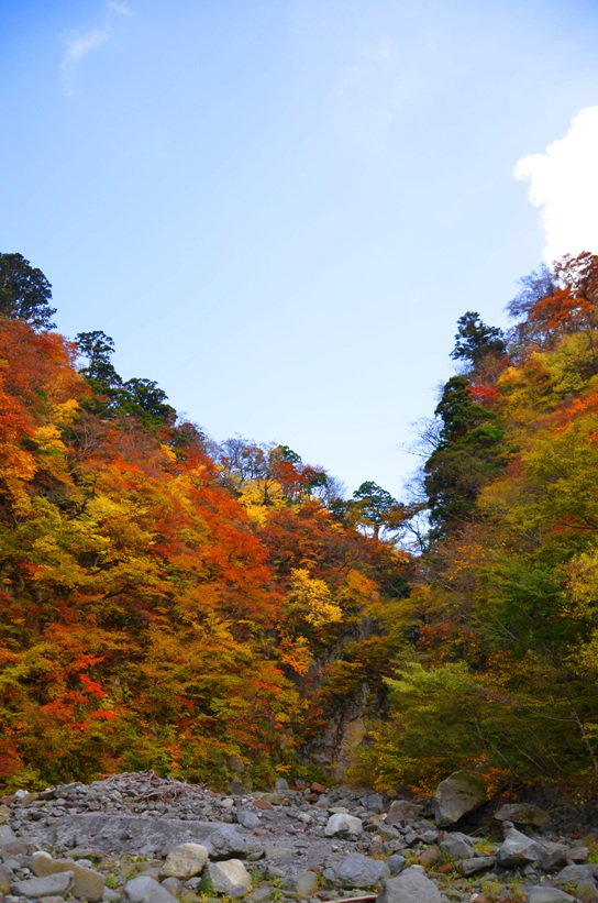 賽の河原と紅葉2277.jpg