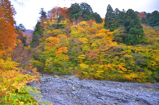賽の河原と紅葉2289.jpg
