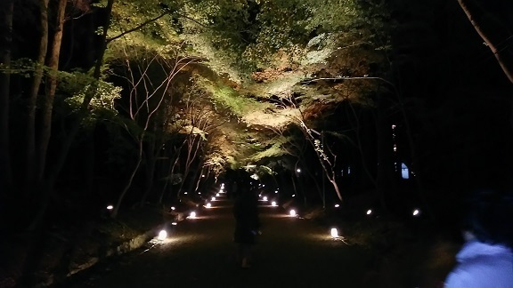 醍醐寺0333.jpg