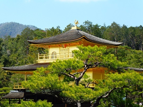 金閣1390225.jpg