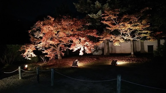 随心院0321.jpg