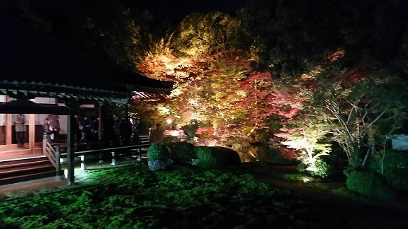 随心院0324.jpg