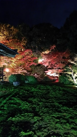 随心院0325.jpg