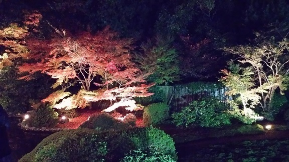 随心院0326.jpg