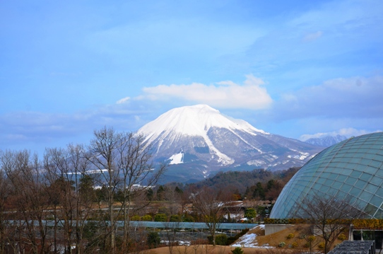 雪の大山8594.jpg