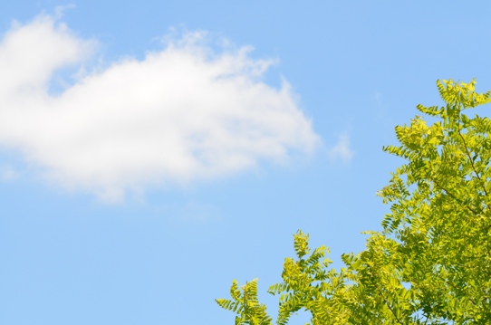 青空2322.jpg