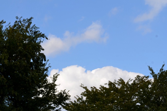 青空7488.jpg