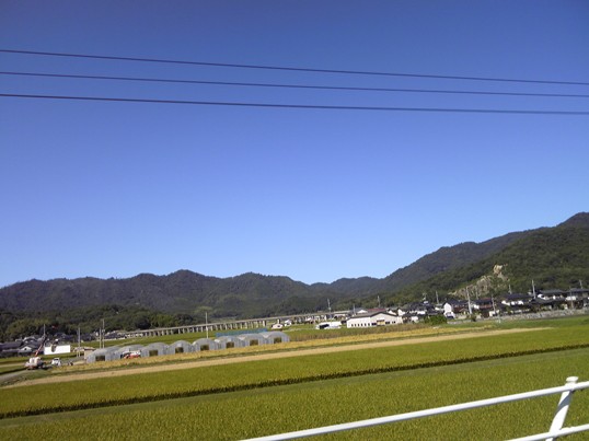 青空SH3B0122.jpg
