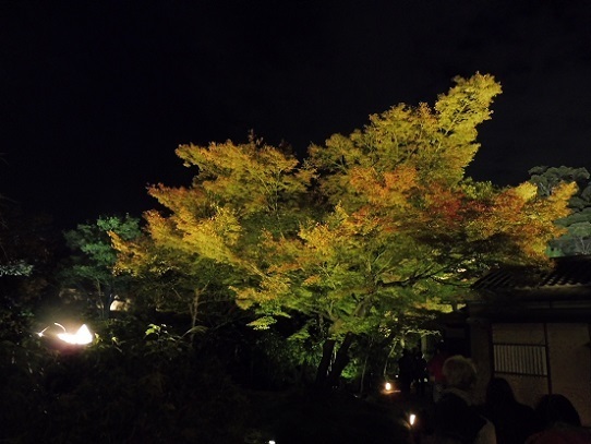 高台寺1310089.jpg
